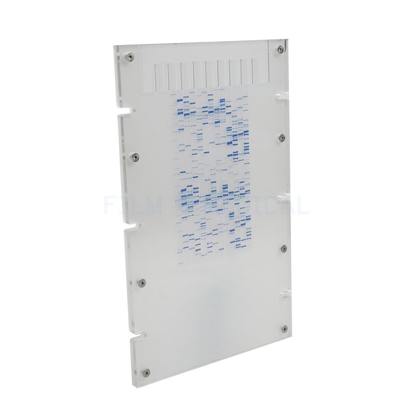 Gene Sequence Plate